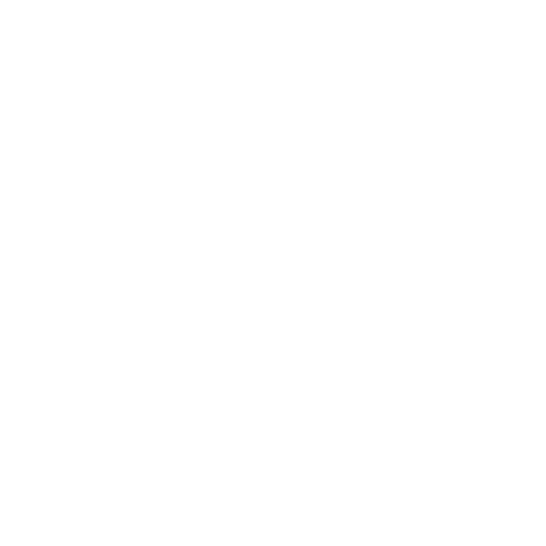 Ceva Logo