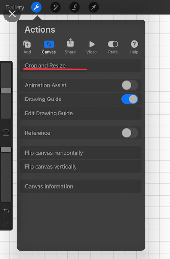 Procreate Action Crop and Resize