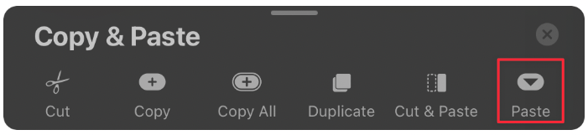 Paste a layer in Procreate