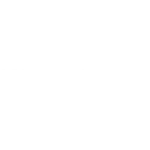 Vissers logo