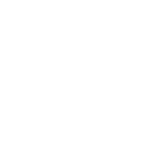 swiss-sense